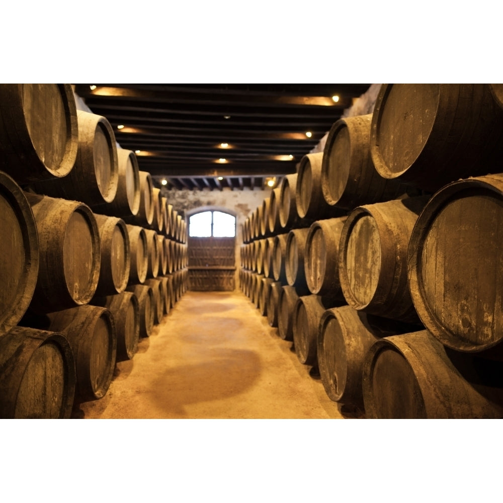 Sherry casks in a winery Gonzalez Byass Jerez De La Frontera Cadiz Province Andalusia Spain Print by Panoramic Image 1