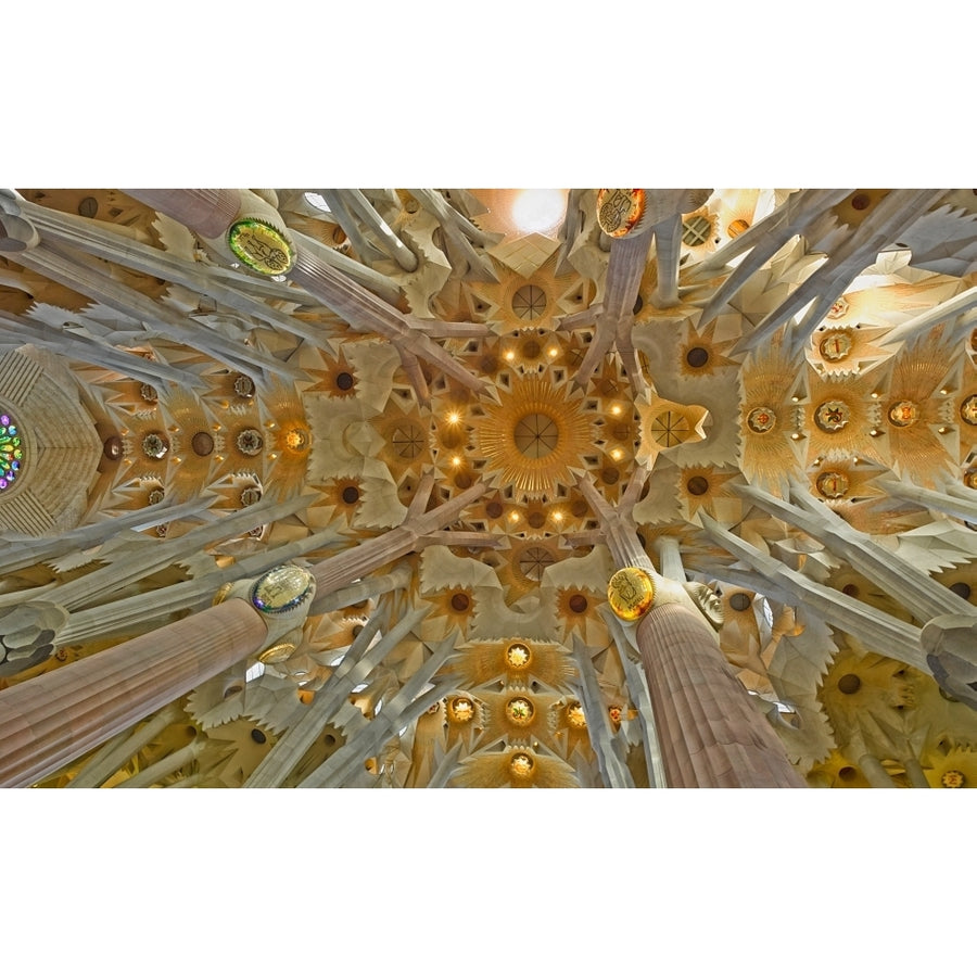 Architectural detail of Sagrada Familia ceiling Barcelona Catalonia Spain Poster Print by Panoramic Images Image 1