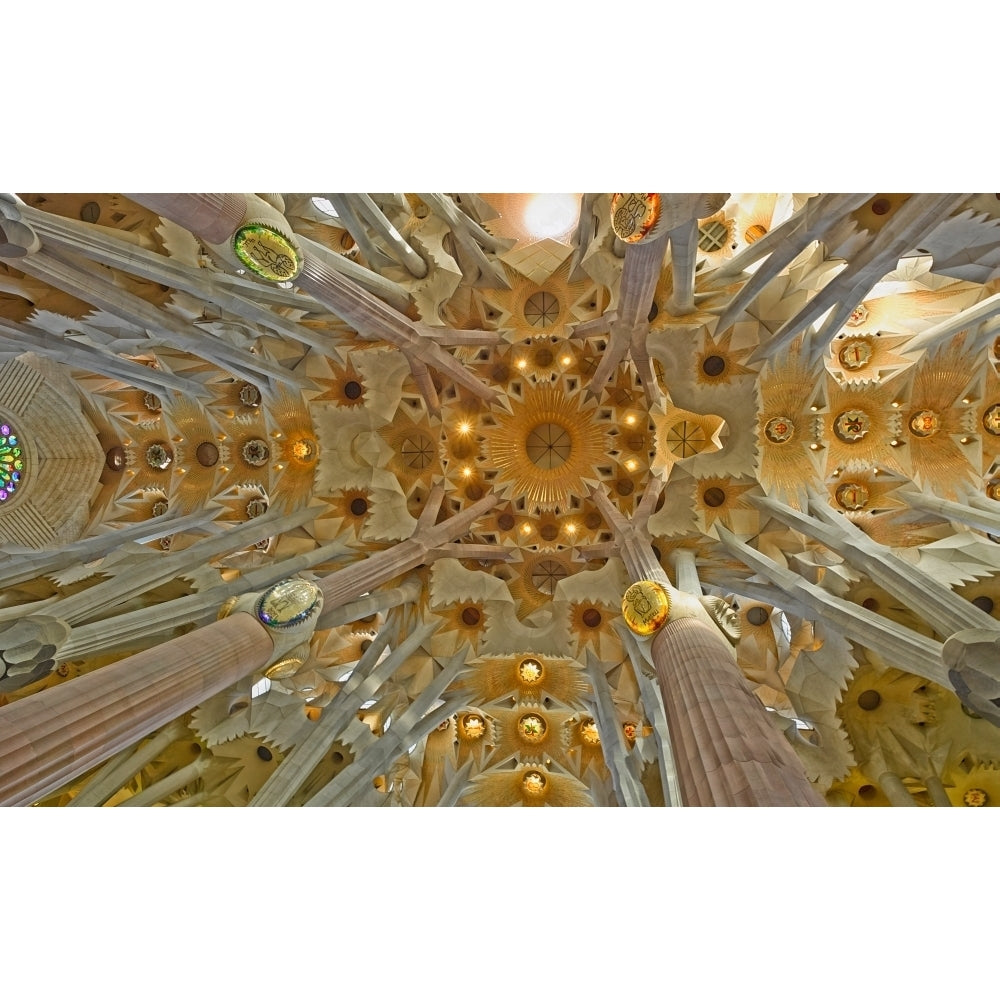 Architectural detail of Sagrada Familia ceiling Barcelona Catalonia Spain Poster Print by Panoramic Images Image 2