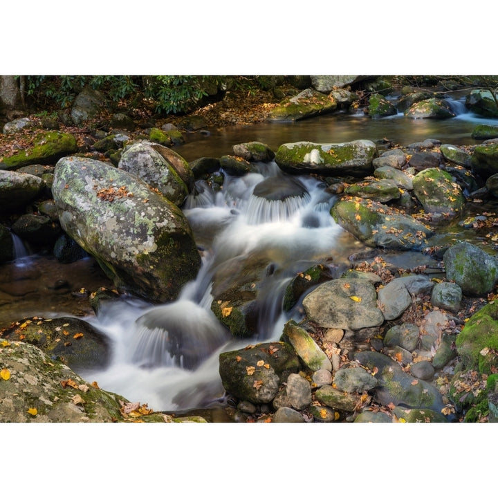 Stream flowing through rocks in a forest Roaring Fork Motor Nature Trail Great Smoky Mountains National Park Tennessee U Image 2