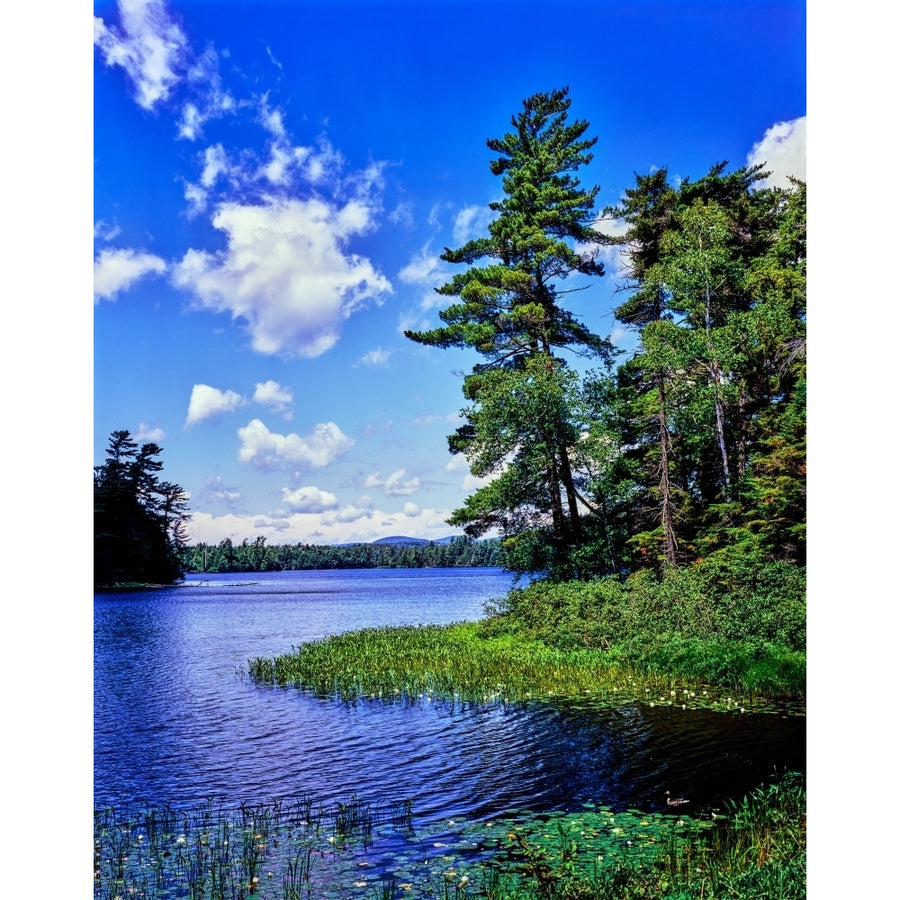 View of the Follensby Clear Pond Adirondack Mountains York State USA Poster Print by Panoramic Images Image 1