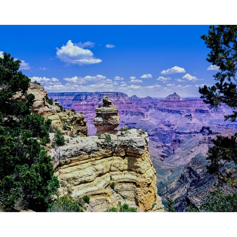 Duck-on-a-rock East Rim Drive South Rom Grand Canyon National Park Arizona USA Print by Panoramic Images Image 1