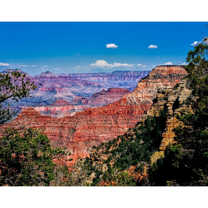 Elevated view of the rock formations in a canyon Yavapai Point South Rim Grand Canyon National Park Arizona USA Image 1