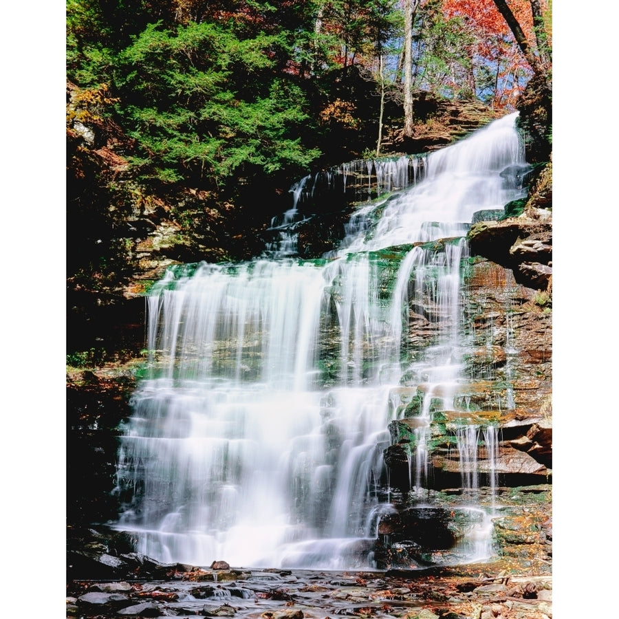 Water falling from rocks in a forest Genoa Falls Kitchen Creek Ricketts Glen State Park Pennsylvania USA Print by Image 1