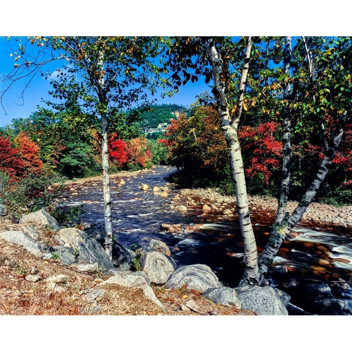 River flowing through a forest Swift River Kancamagus Highway White Mountain National Forest Hampshire USA Image 1