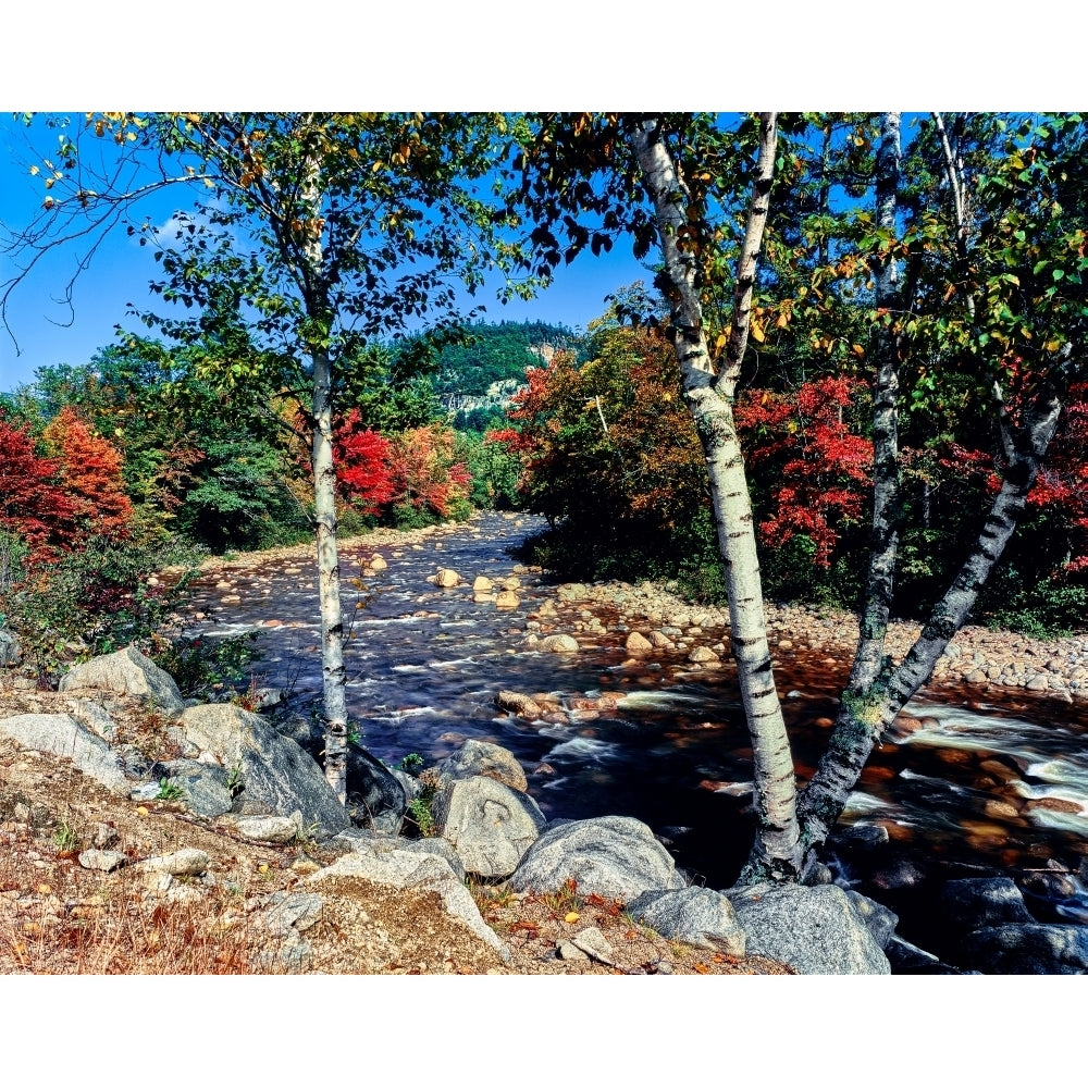 River flowing through a forest Swift River Kancamagus Highway White Mountain National Forest Hampshire USA Image 2