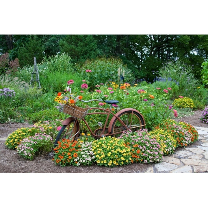 Old bicycle with flower basket in a garden with stone path Zinnias obelisk and T Image 2