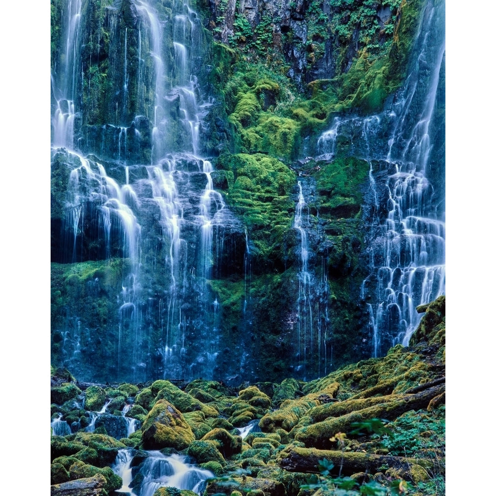 Scenic view of waterfall in a forest Lower Proxy Falls Three Sisters Wilderness Willamette National Forest Lane Image 2