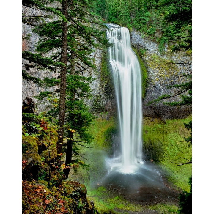 Water falling into a creek Salt Creek Falls Salt Creek Willamette National Forest Lane County Oregon USA Print by Image 1