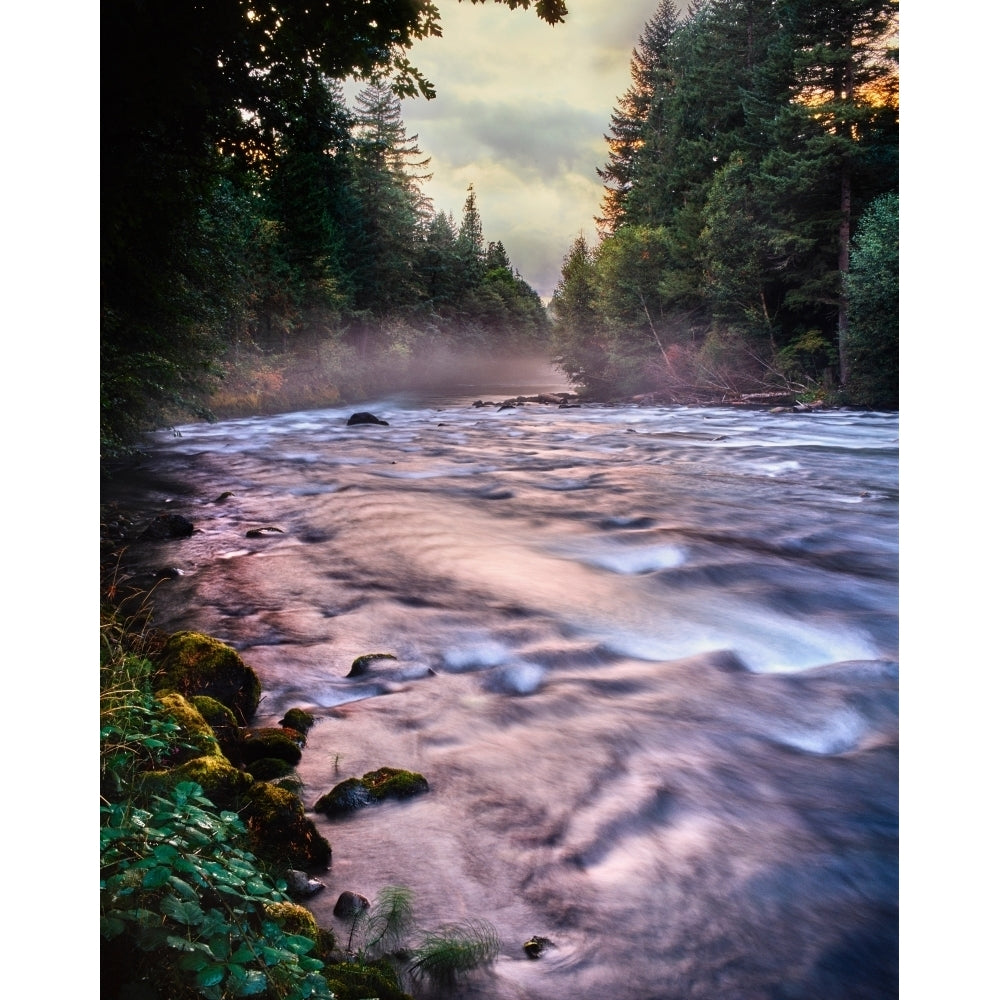 River flowing through a forest McKenzie River Belknap Hot Springs Willamette National Forest Lane County Oregon Image 2