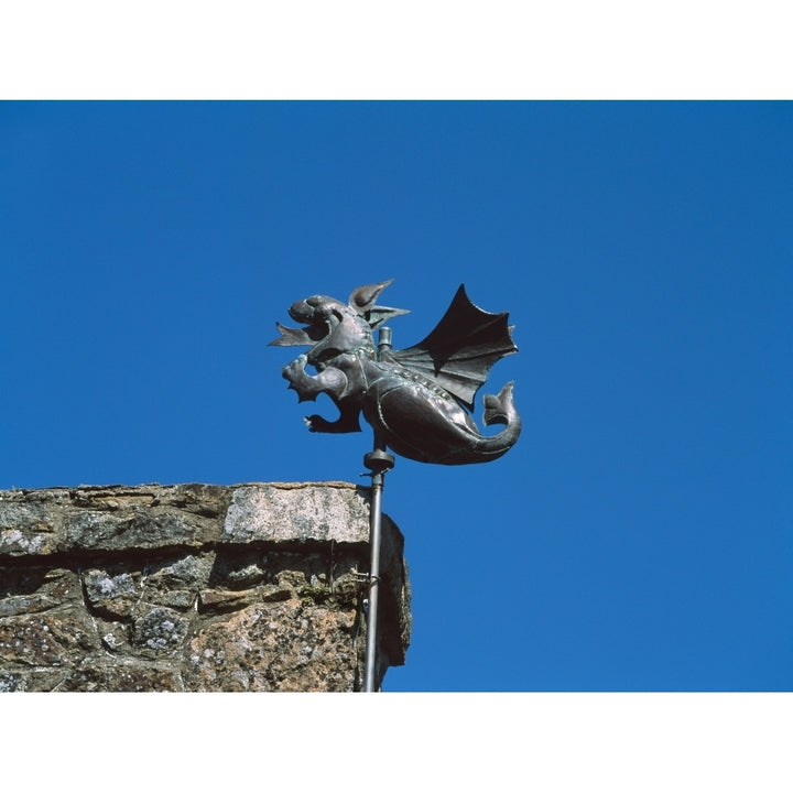 Low angle view of Girouette dragon weather vane Poster Print by Panoramic Images Image 1