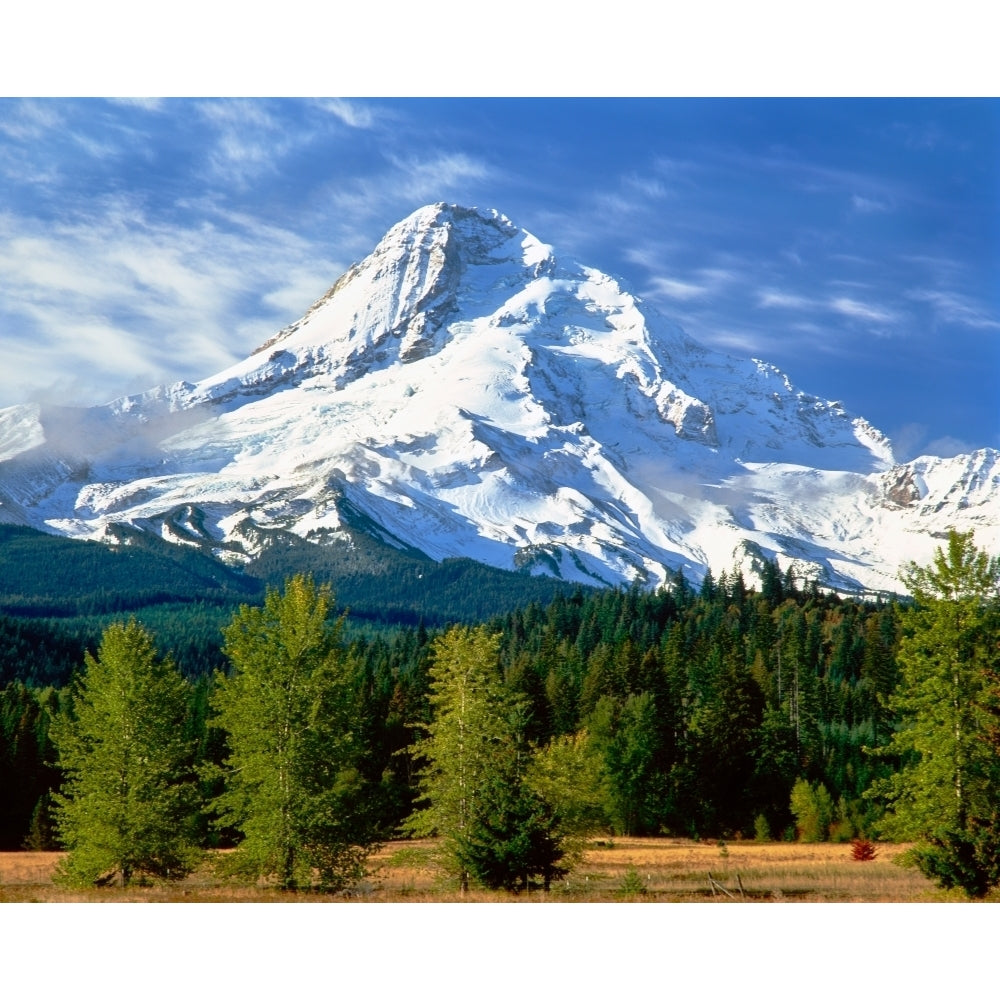 Trees with snowcapped mountain range in the background Mt Hood Upper Hood River Valley Hood River County Oregon USA Image 1