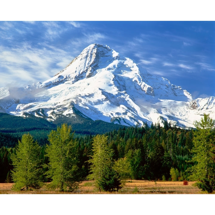 Trees with snowcapped mountain range in the background Mt Hood Upper Hood River Valley Hood River County Oregon USA Image 1