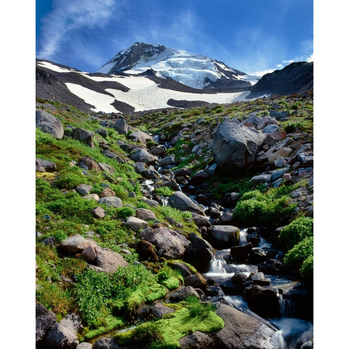 Stream flowing through rocks Mt Hood Mt Hood Wilderness Mt Hood National Forest Hood River County Oregon USA Print Image 1