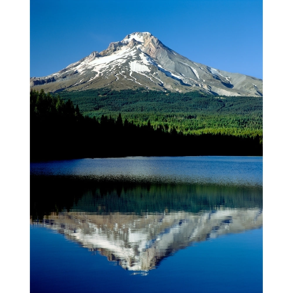 Reflection of mountain range in a lake Mt Hood Trillium Lake Mt Hood National Forest Oregon USA Print by Panoramic Image 1