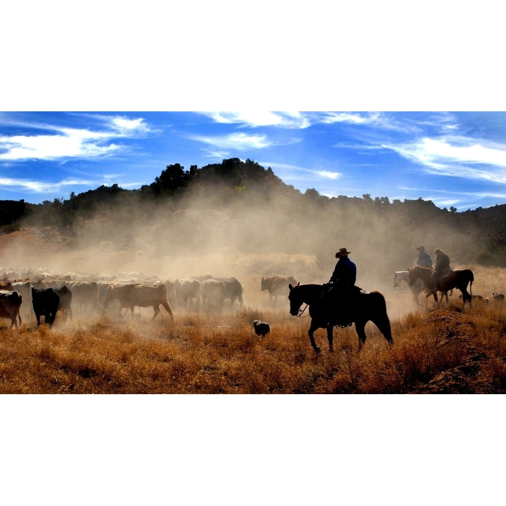 Cowboys driving cattle Moab Utah USA Poster Print by Panoramic Images Image 1