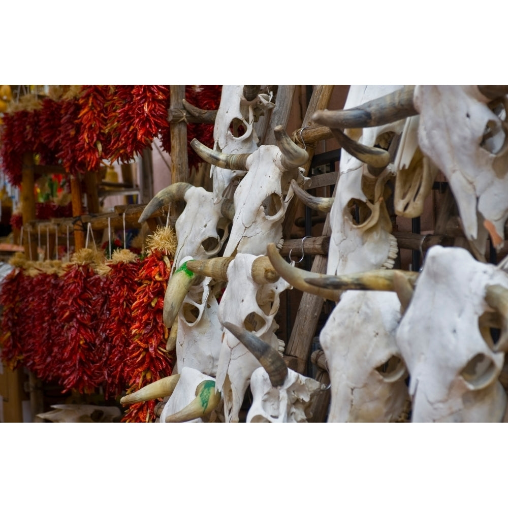 Hunting trophies and chili peppers on market stall Santa Fe Mexico USA Poster Print by Panoramic Images Image 1