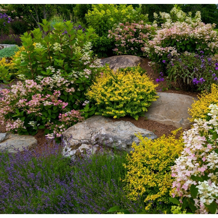 Rocks and plants in Rock Garden Knowlton Quebec Canada Poster Print by Panoramic Images Image 2