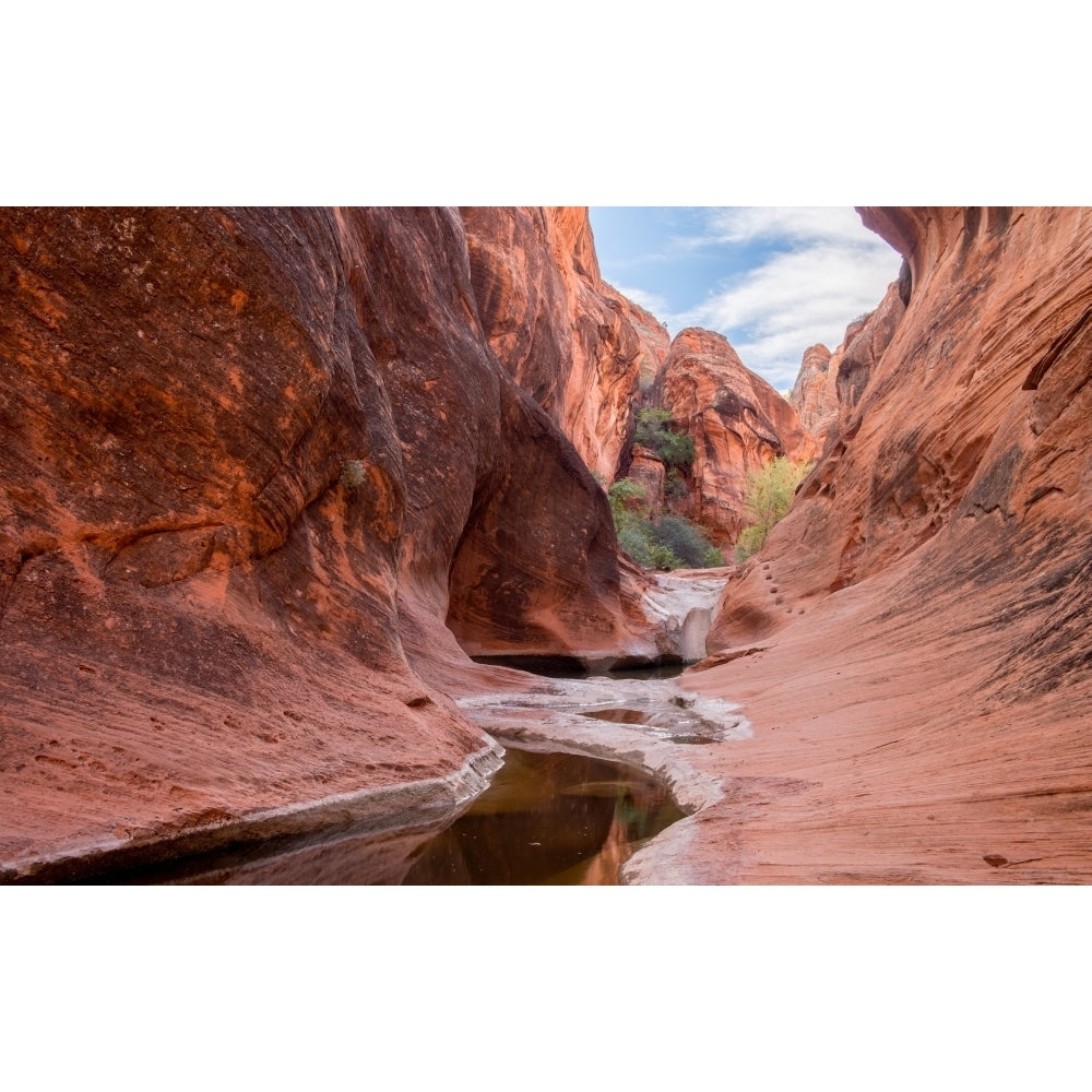 Rock formations at Water Canyon Trail Water Canyon St. George Utah USA Poster Print by Panoramic Images Image 1