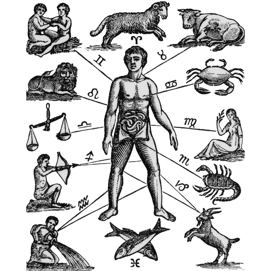 Zodiac Man Drawing Relating Astrology Moon Signs To Various Parts Of Male Anatomy Used In Ancient Medicine Print By Image 1