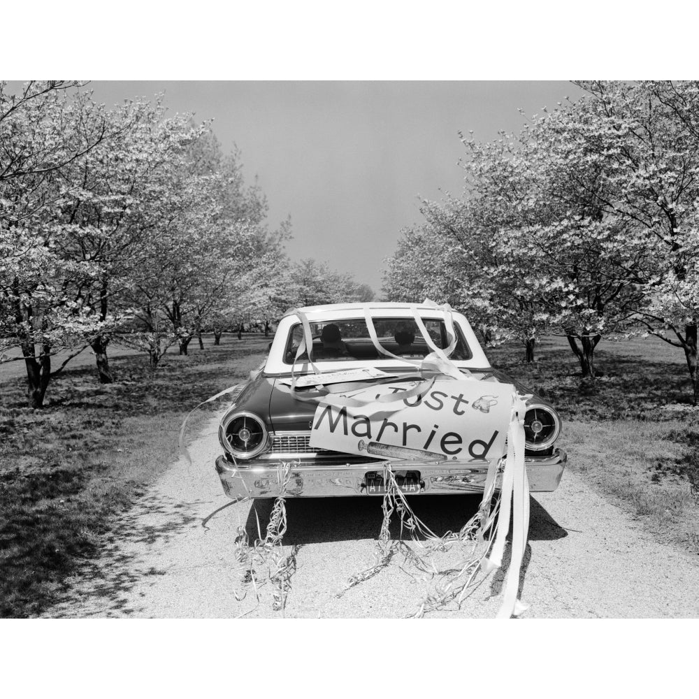 1960s Rear Of Car With Just Married Sign And Streamers Driving Along Road Of Flowering Trees Print By Vintage Collection Image 1