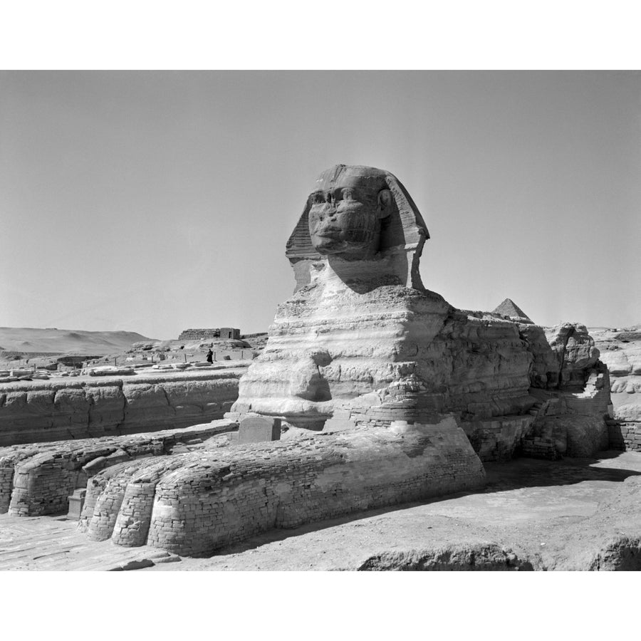 1950s The Sphinx At The Giza Pyramids Cairo Egypt Poster Print By Vintage Collection Image 1