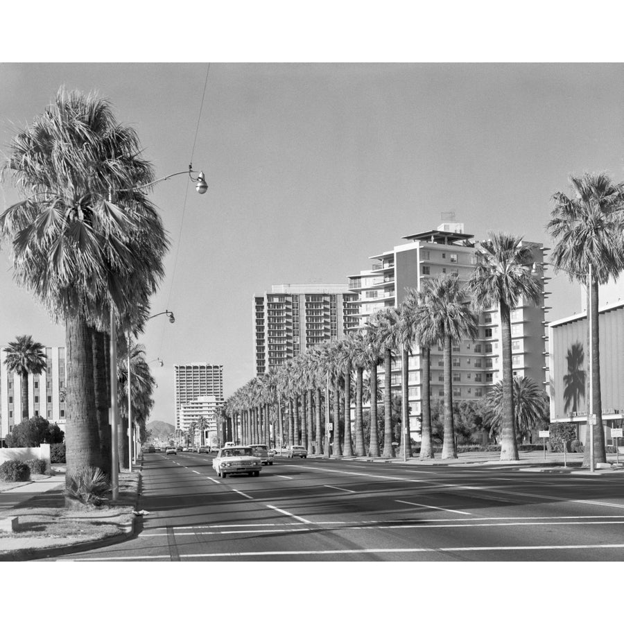 1960s Rows Of Palm Trees Central Avenue Phoenix Az Usa Poster Print By Vintage Collection Image 1