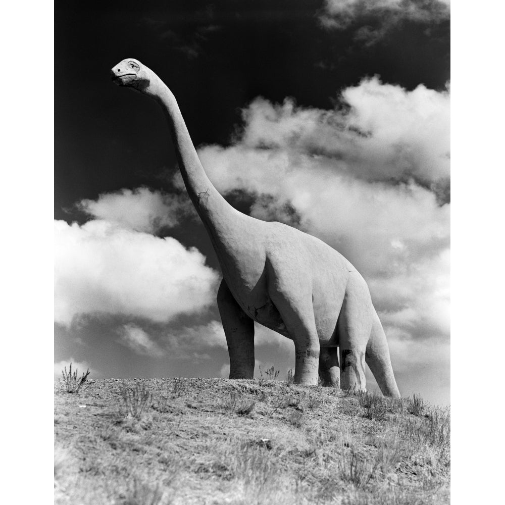 1950s Life-Size Statue Of Extinct Long Neck Gigantic Brontosaurus Dinosaur Park Established 1936 Rapid City South Dakota Image 1