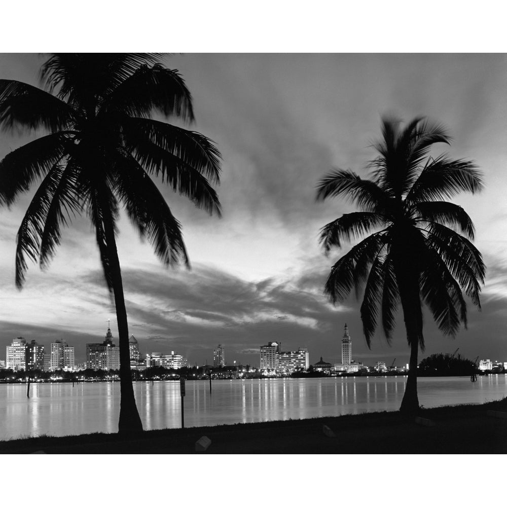 1950s Night Skyline View Across The Bay Two Palm Trees Silhouetted In Foreground Miami Florida Usa Print By Vintage Image 1