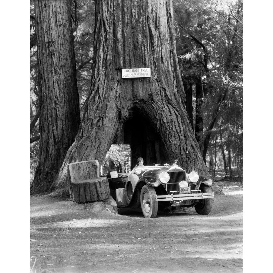 1930s Woman Driving Convertible Car Through Opening In Giant Sequoia Tree Trunk Coolidge Tree Mendocino California Print Image 1