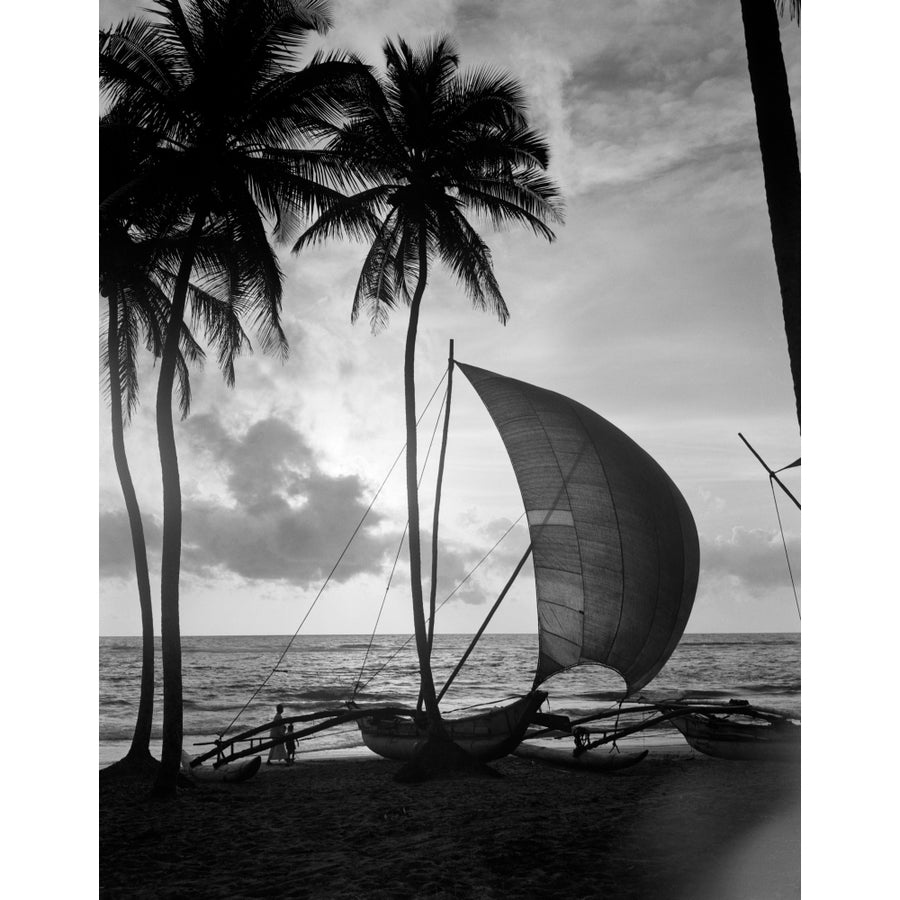 1930s Single Catamaran On Tropical Beach At Sunset Palm Trees Sri Lanka Poster Print By Vintage Collection Image 1