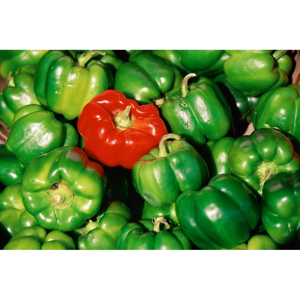 Red pepper among green peppers Poster Print Image 2