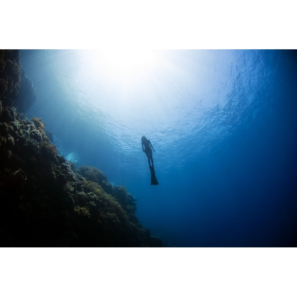 Free diver rising from the deep in the Banda Sea Indonesia Poster Print by Aaron Wong/Stocktrek Images Image 2