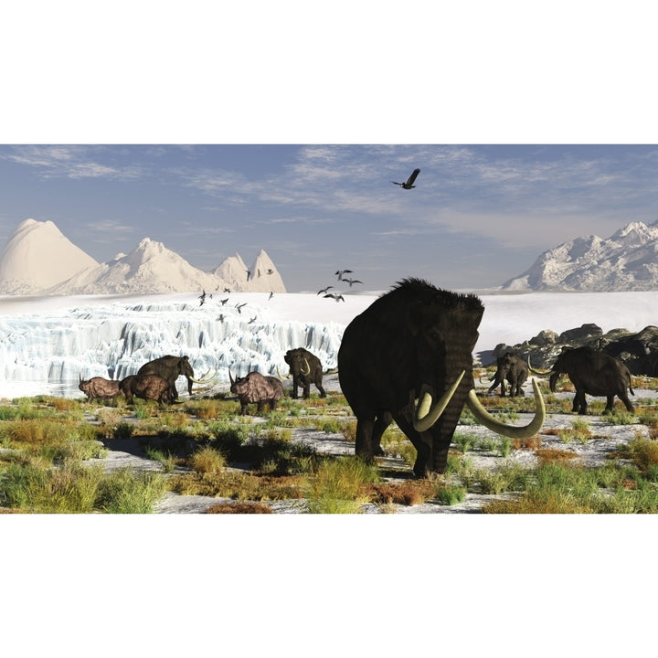 Woolly mammoths and woolly rhinos in a prehistoric landscape Poster Print Image 2