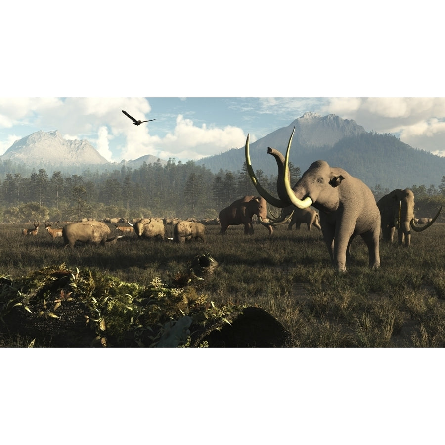 Columbian mammoths and bison roam the ancient plains of North America Poster Print Image 1