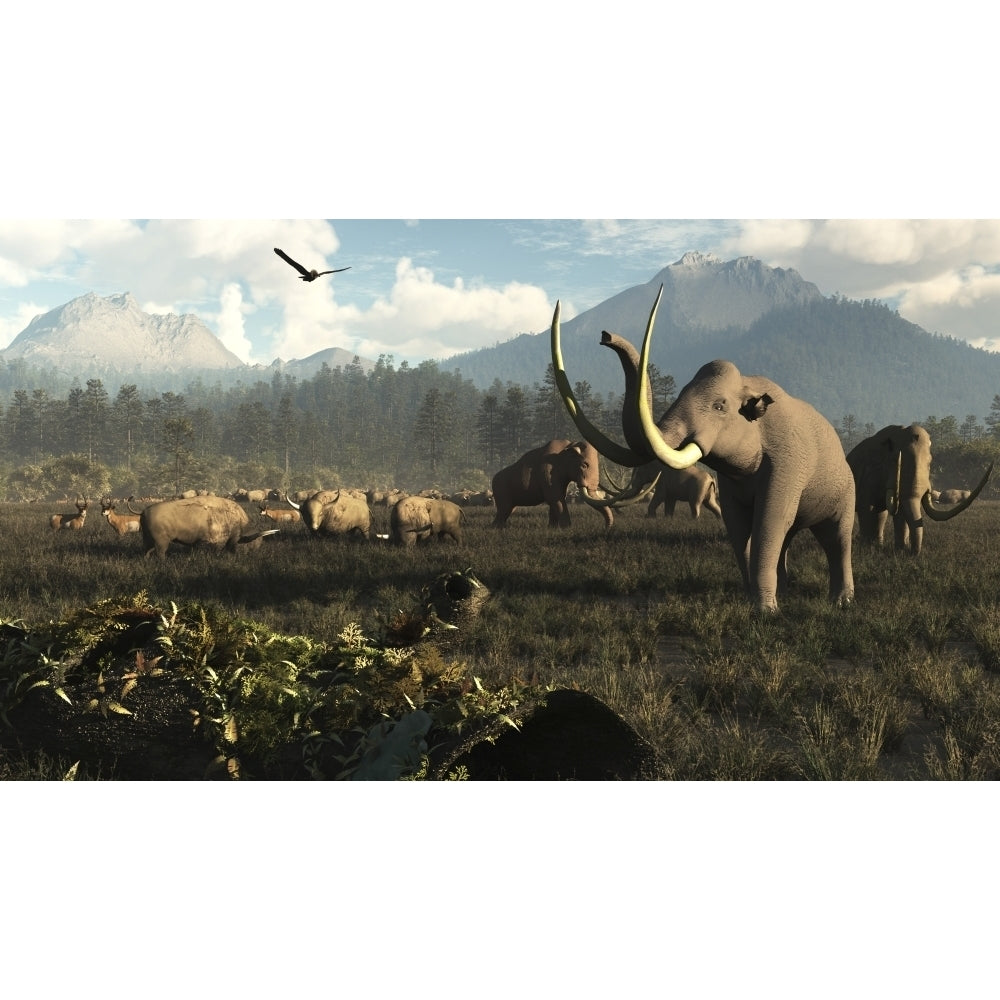 Columbian mammoths and bison roam the ancient plains of North America Poster Print Image 2