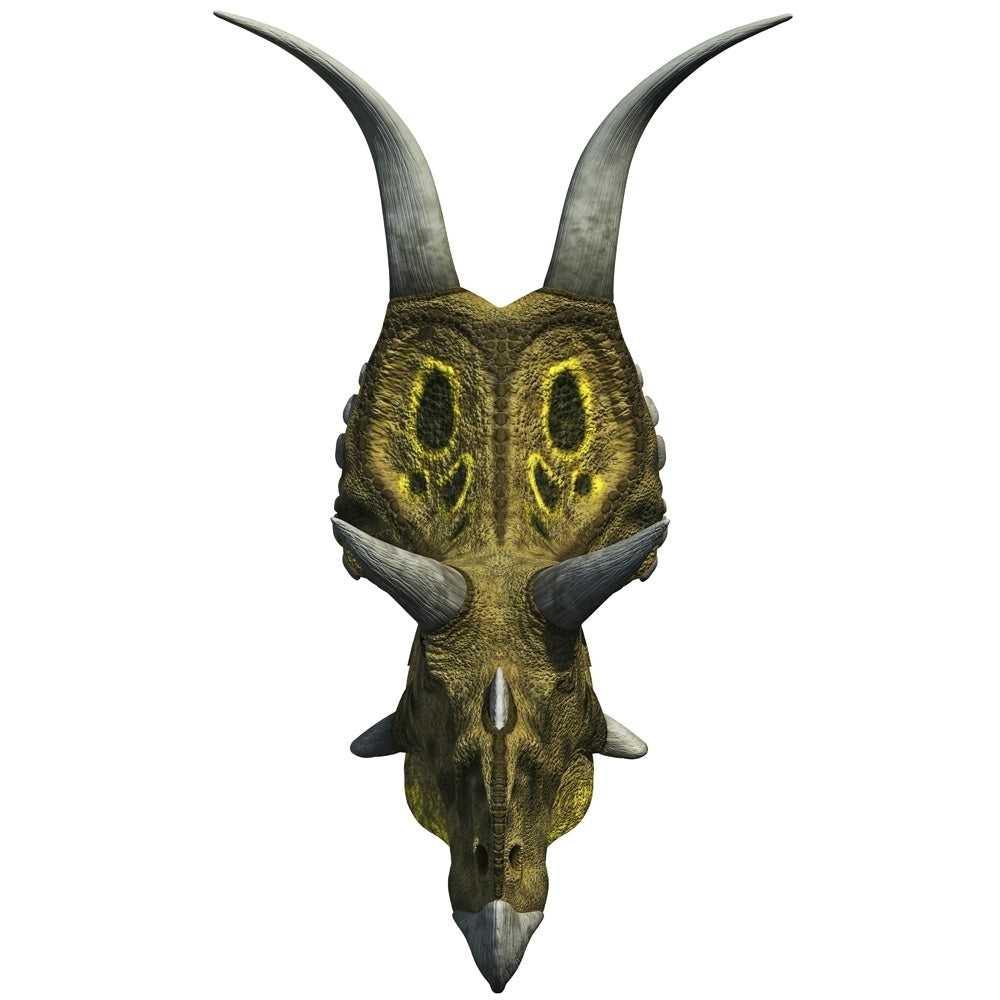 A head-on view of Diabloceratops from the Late Cretaceous period. Poster Print by Arthur Dorety/Stocktrek Images Image 1