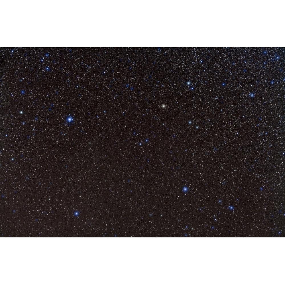 Pegasus constellation in the northern sky Poster Print Image 2