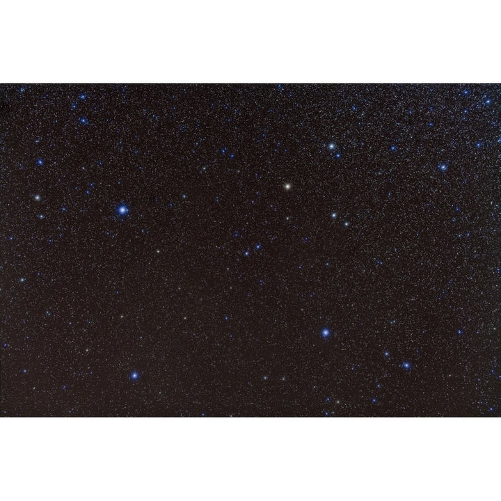 Pegasus constellation in the northern sky Poster Print Image 1