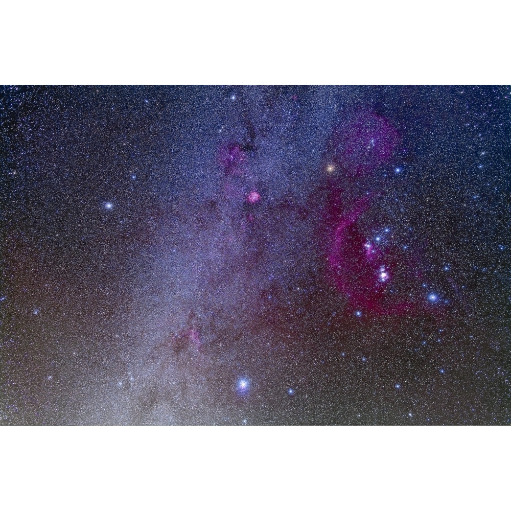 Orion and Canis Major showing dog stars Sirius and Procyon Poster Print Image 2