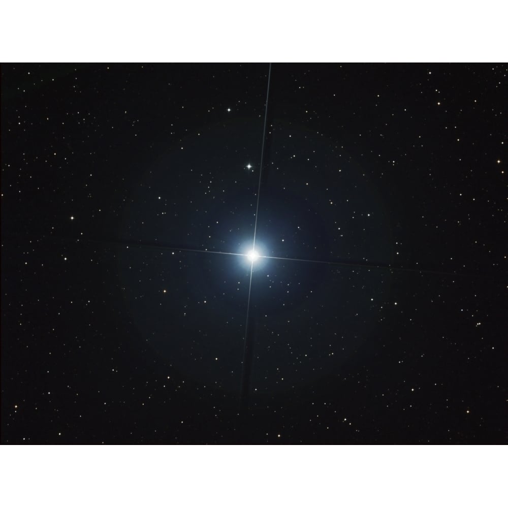 Rigel is the brightest star in the constellation Orion Poster Print Image 1