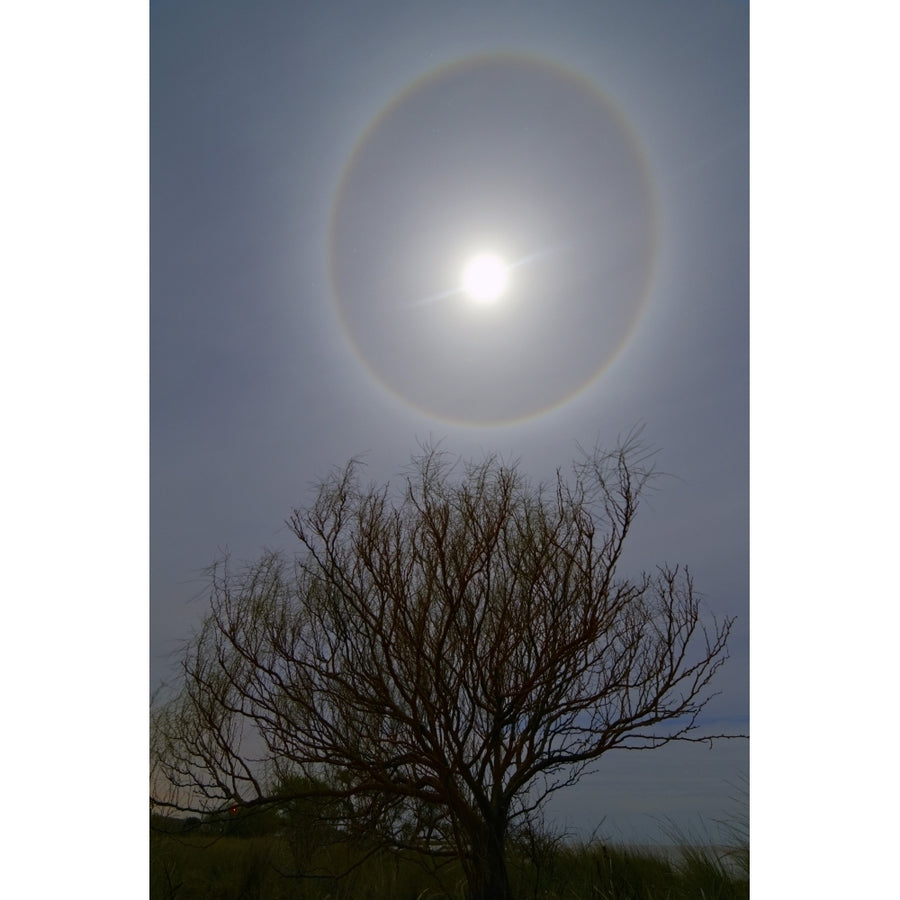 A 22 degrees halo around the 2013 supermoon Poster Print Image 1