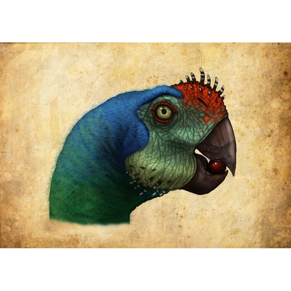 Oviraptor head detail Poster Print Image 1