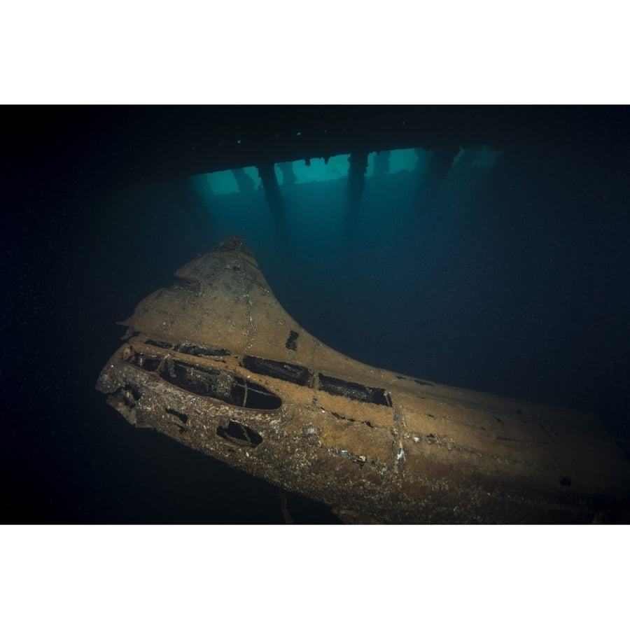 Japanese Zero airplane inside the a hold of the Fujikawa Maru shipwreck Micronesia Poster Print by Brandi Mueller/Stock Image 1