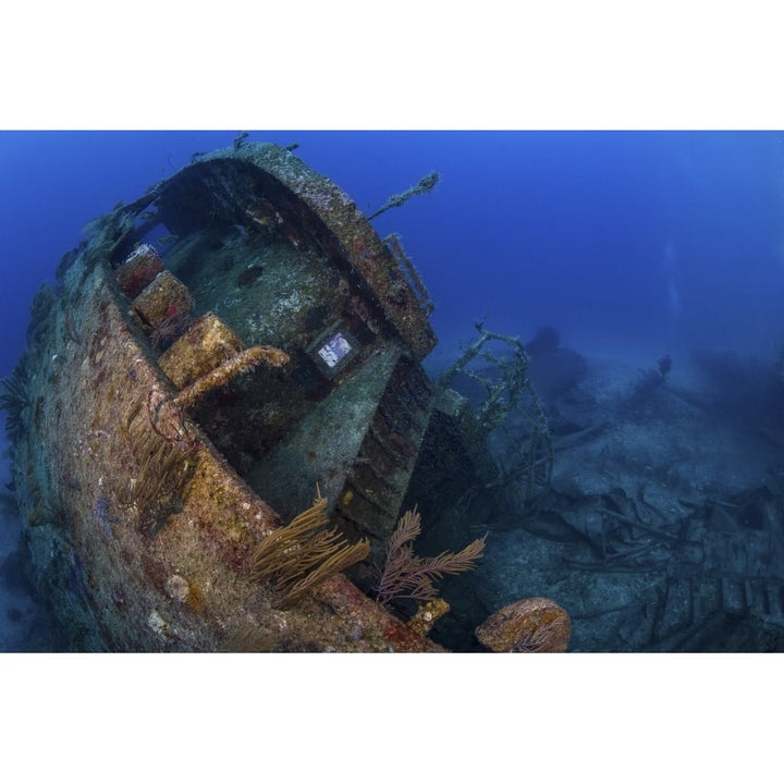 A sunken ship lays on its side near Grand Bahama Island Bahamas Poster Print by Brook Peterson/Stocktrek Images Image 1