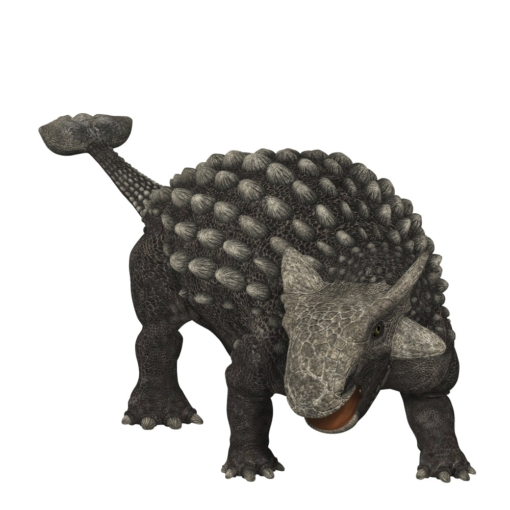 Ankylosaurus was an armored dinosaur from the Creataceous Period Poster Print Image 2