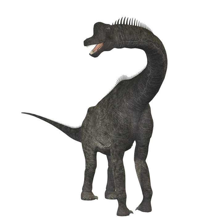 Brachiosaurus dinosaur Poster Print Image 1