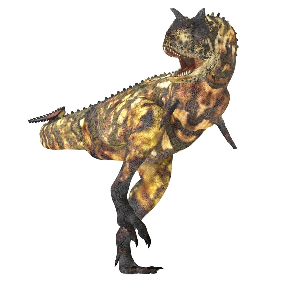 Carnotaurus dinosaur Poster Print Image 1