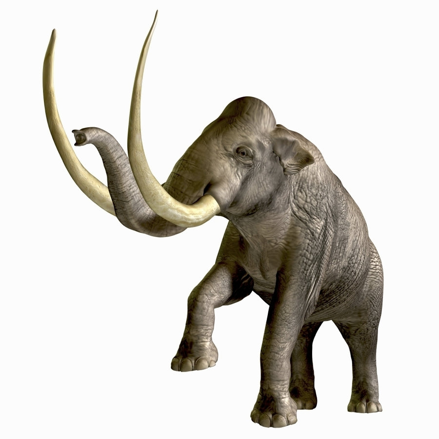 The Columbian Mammoth Poster Print Image 1