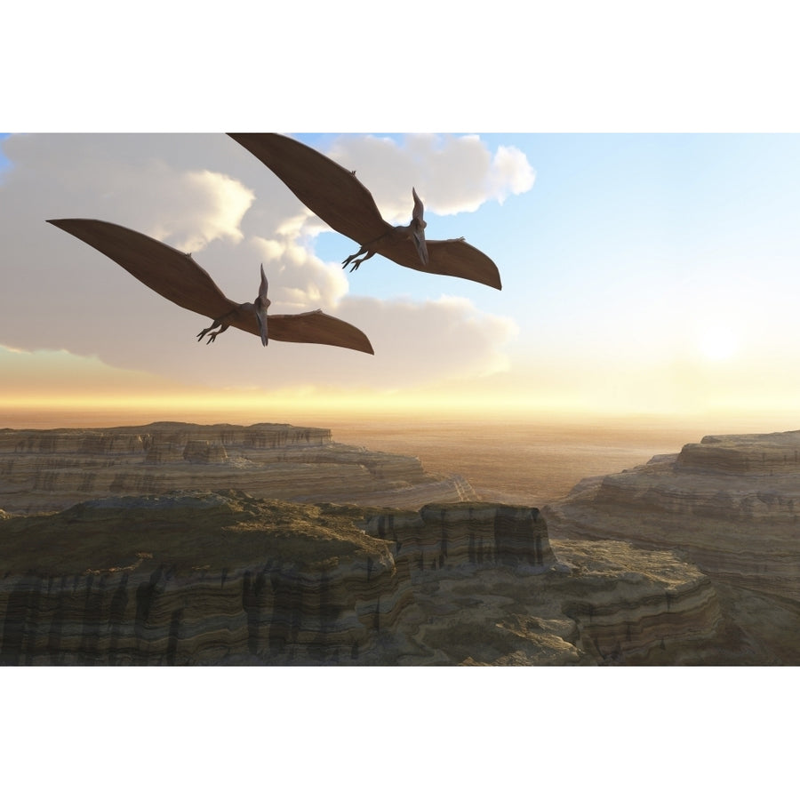 Two Pterodactyl flying dinosaurs soar above a beautiful canyon Poster Print Image 1